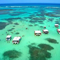 MACEIO