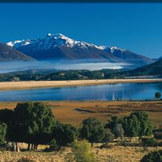 RUTA 40